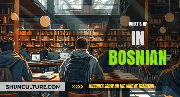 What's Up in Bosnian: A Beginner's Guide to Everyday Expressions