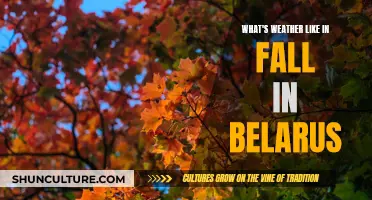 Fall in Belarus: Chilly, Colorful, and Cozy Weather