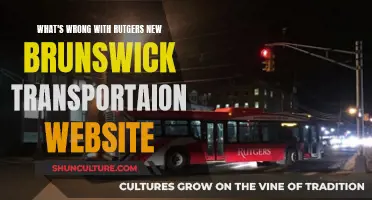 Rutgers NB Transport: Website Woes