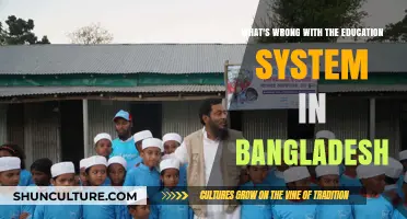 Bangladesh's Education Crisis: Unraveling Systemic Flaws and Urgent Reforms Needed