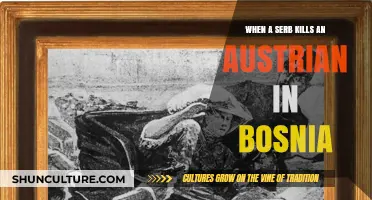 The Bosnian Spark: A Serb's Assassination of an Austrian Archduke
