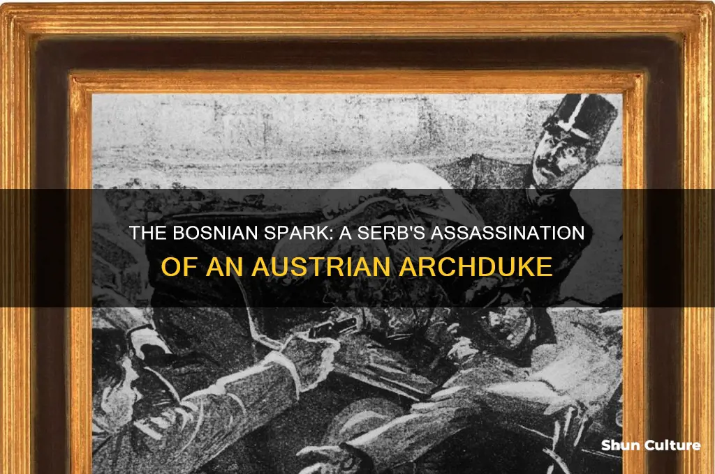 when a serb kills an austrian in bosnia