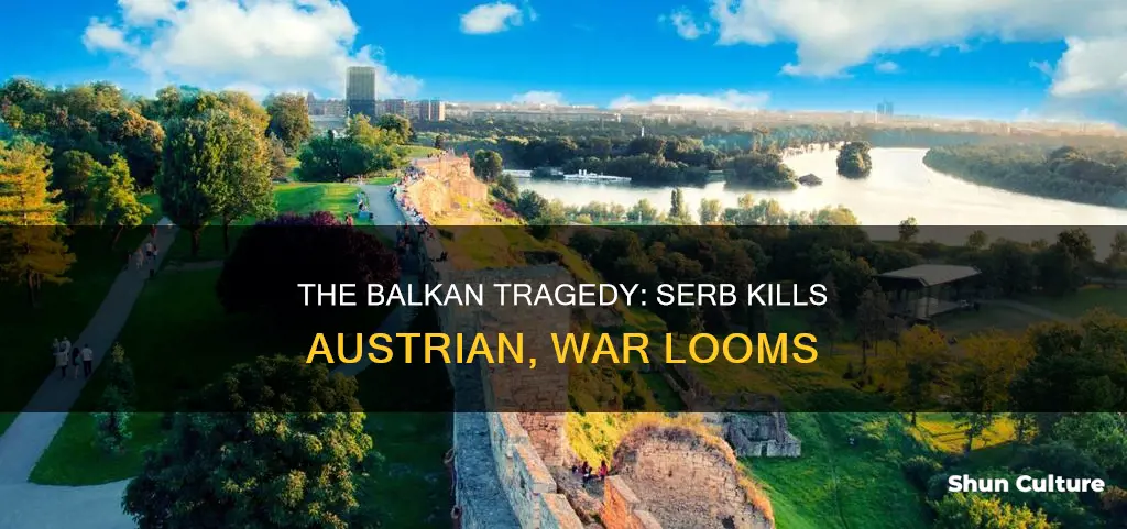 when a serb kills an austrian