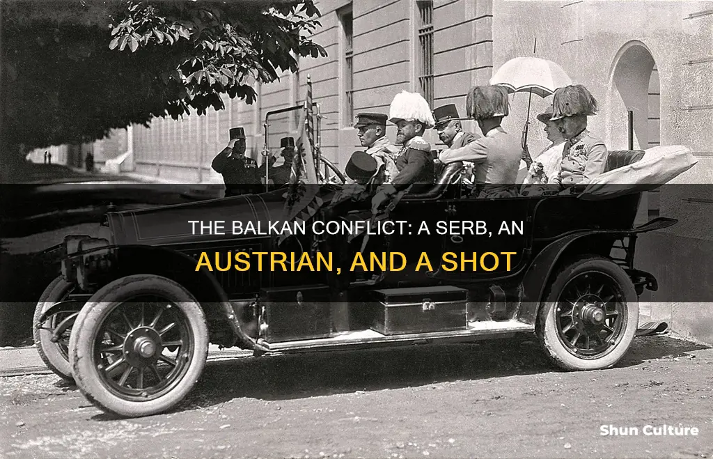 when a serb shoots an austrian