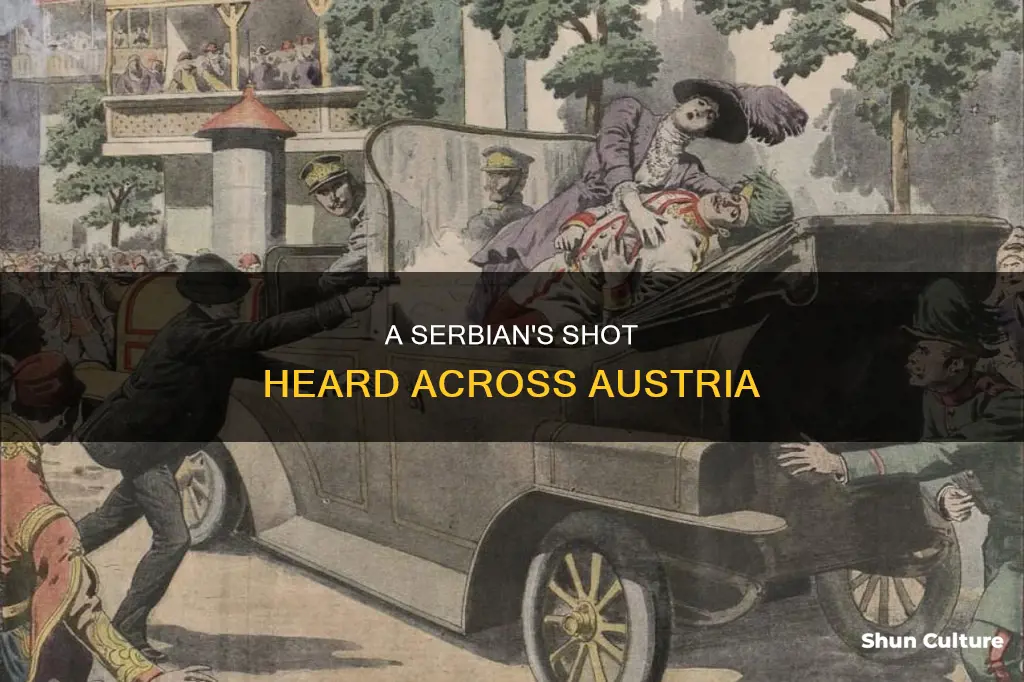 when a serbian guy shoots an austria guy