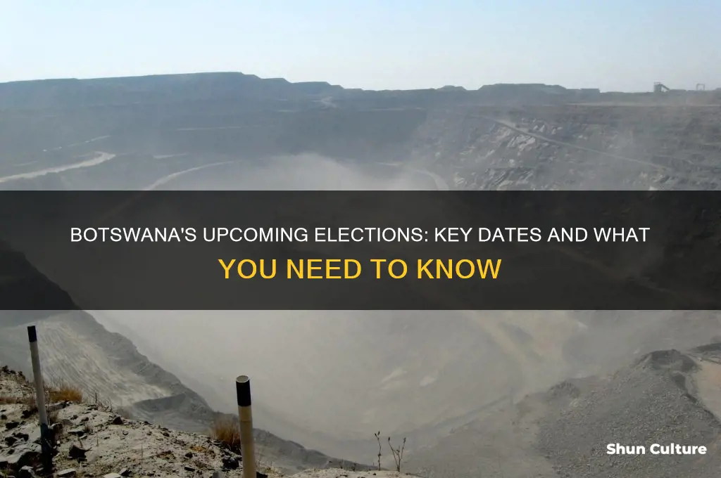 when are botswana elections