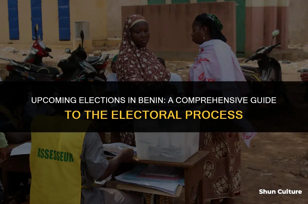 when are elections in benin
