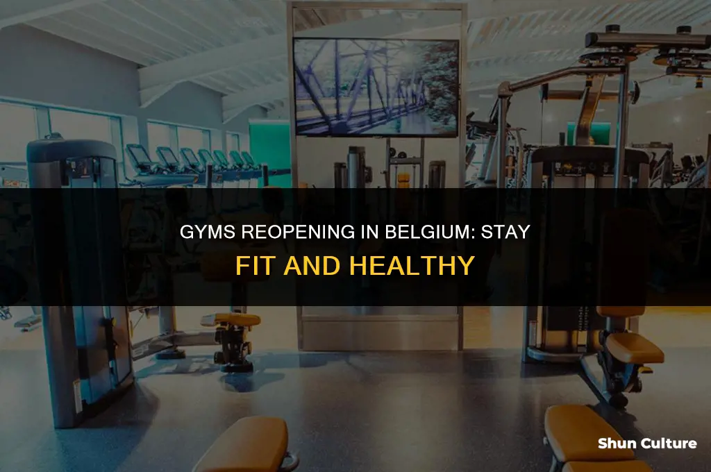 when are gyms opening in belgium