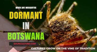 Mosquito Dormancy in Botswana: Seasonal Patterns and Activity Cycles