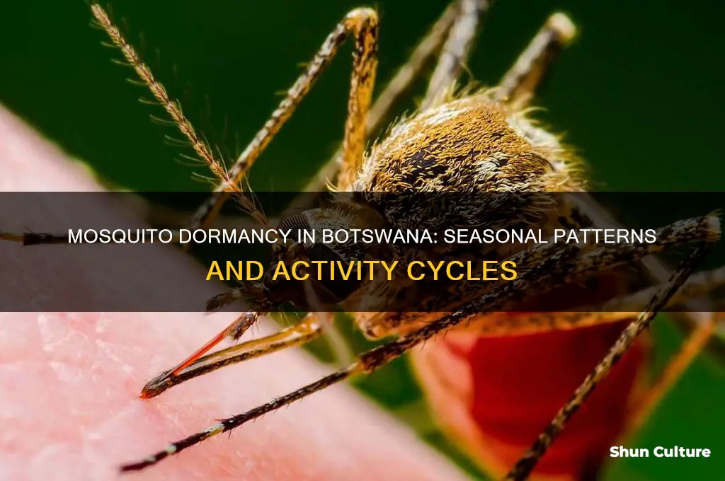 when are mosquitos dormant in botswana