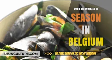 Savoring the Sea: Belgium's Mussel Season Unveiled