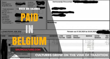 Understanding Salary Payment Schedules in Belgium: A Comprehensive Guide