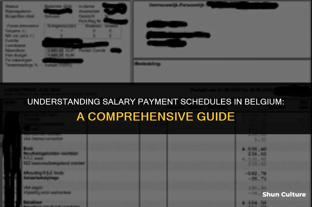 when are salaries paid in belgium