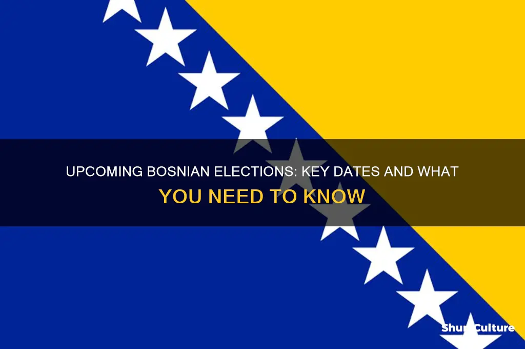 when are the bosnian elections
