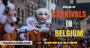 Discover the Vibrant Carnivals of Belgium: A Cultural Journey