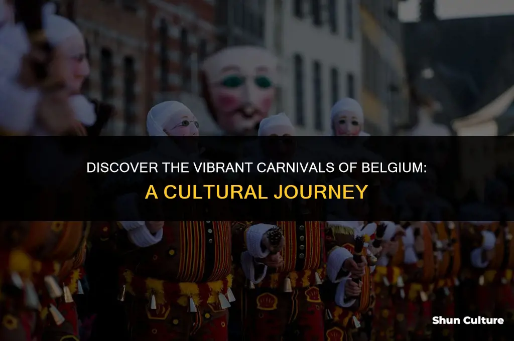 when are the carnivals in belgium