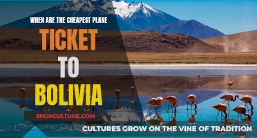 Bolivia on a Budget: Cheapest Flight Times