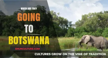 Exploring Botswana: Anticipating the Perfect Time for Your Adventure