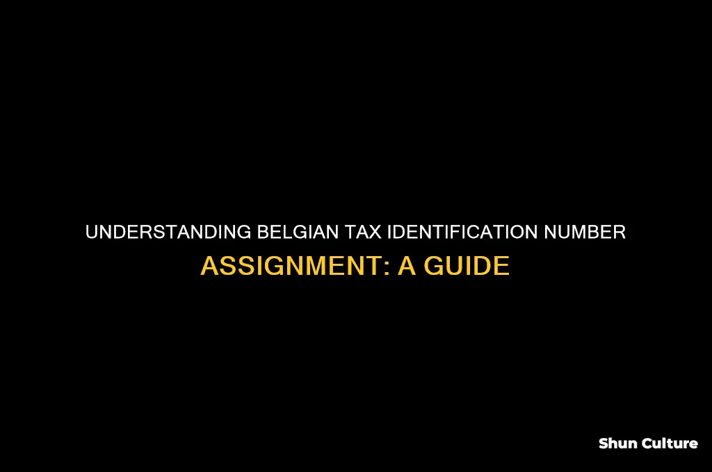 when are you assigned a tax identification number in belgium