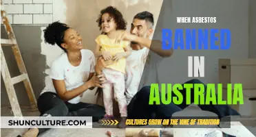 Asbestos Ban: Australia's Timeline and Action