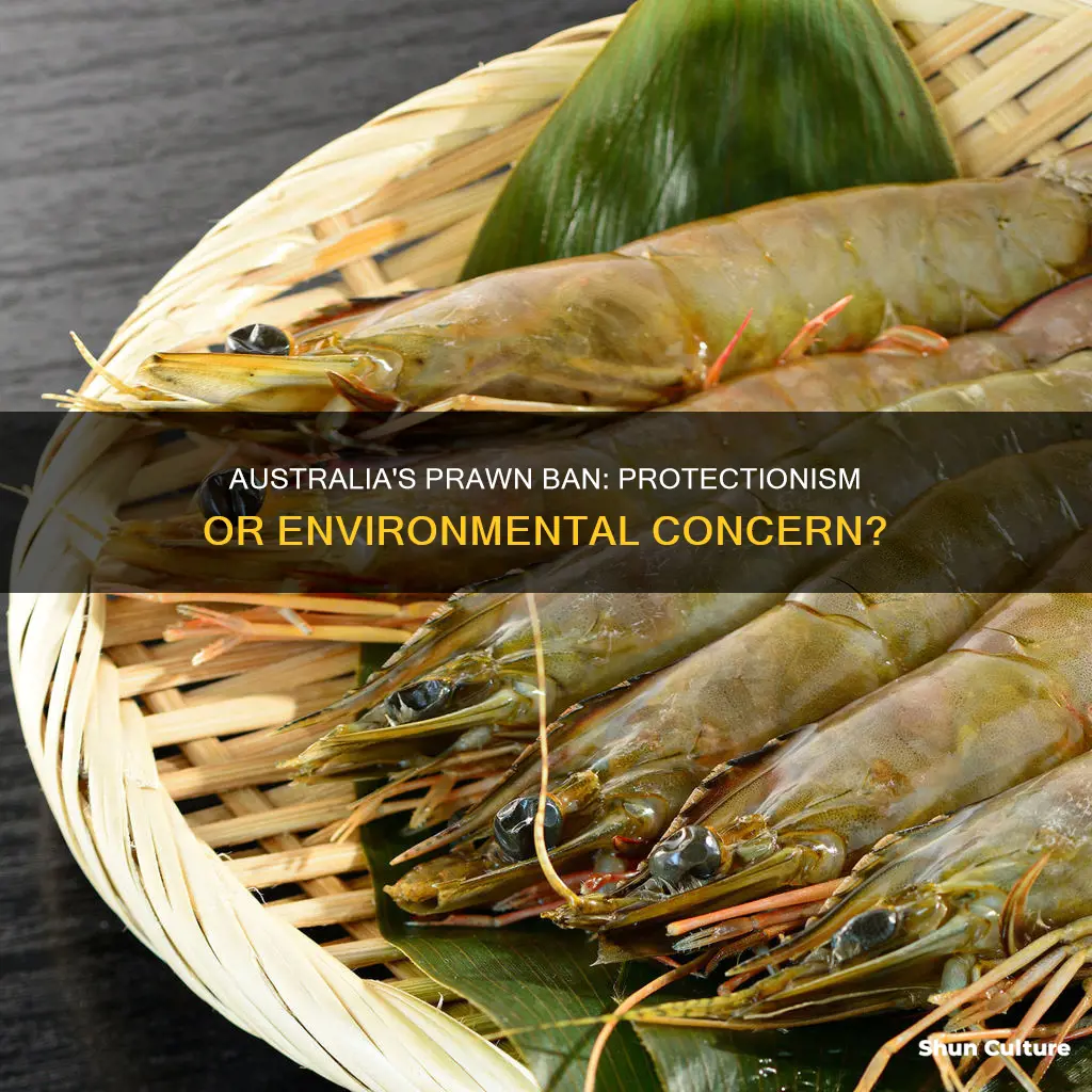 when australia banned prawns from asia it was clearly to