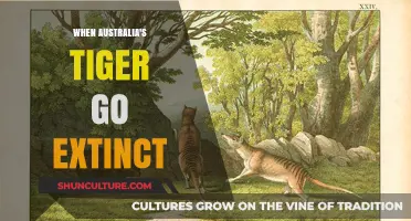 The Silent Extinction of Australia's Thylacine: A Lost Legacy