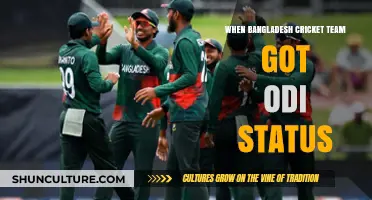 Bangladesh Cricket's ODI Journey: A Historic Milestone and Recognition