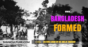 The Birth of Bangladesh: A Journey to Independence and Nationhood