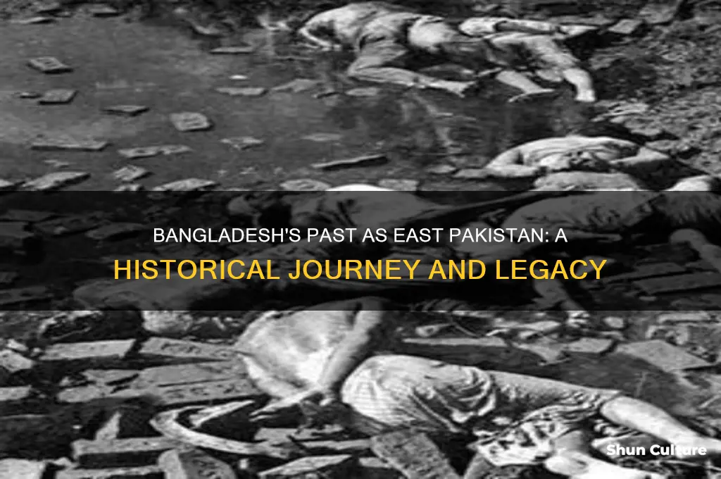 when bangladesh was pakistan