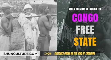 Belgium's Congo Free State: A Historical Overview of Establishment and Impact