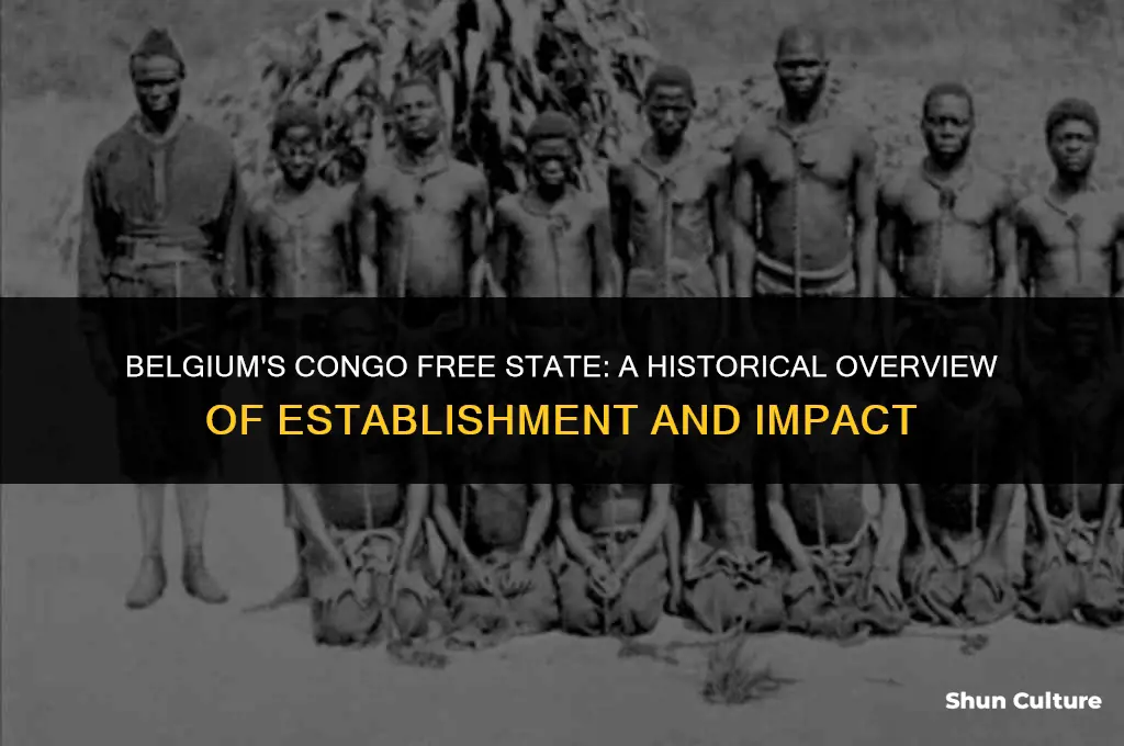 when belgium establish the congo free state