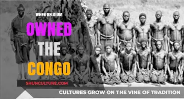 Colonial Shadows: Belgium's Complex Legacy in the Congo