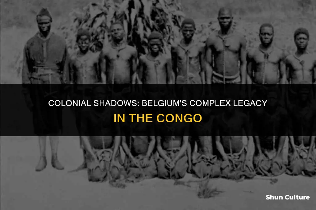 when belgium owned the congo