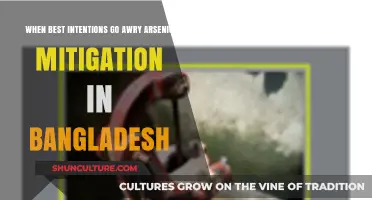 Arsenic Crisis in Bangladesh: When Mitigation Efforts Backfire