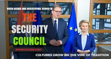 Bosnia and Herzegovina's Historic Role in the UN Security Council