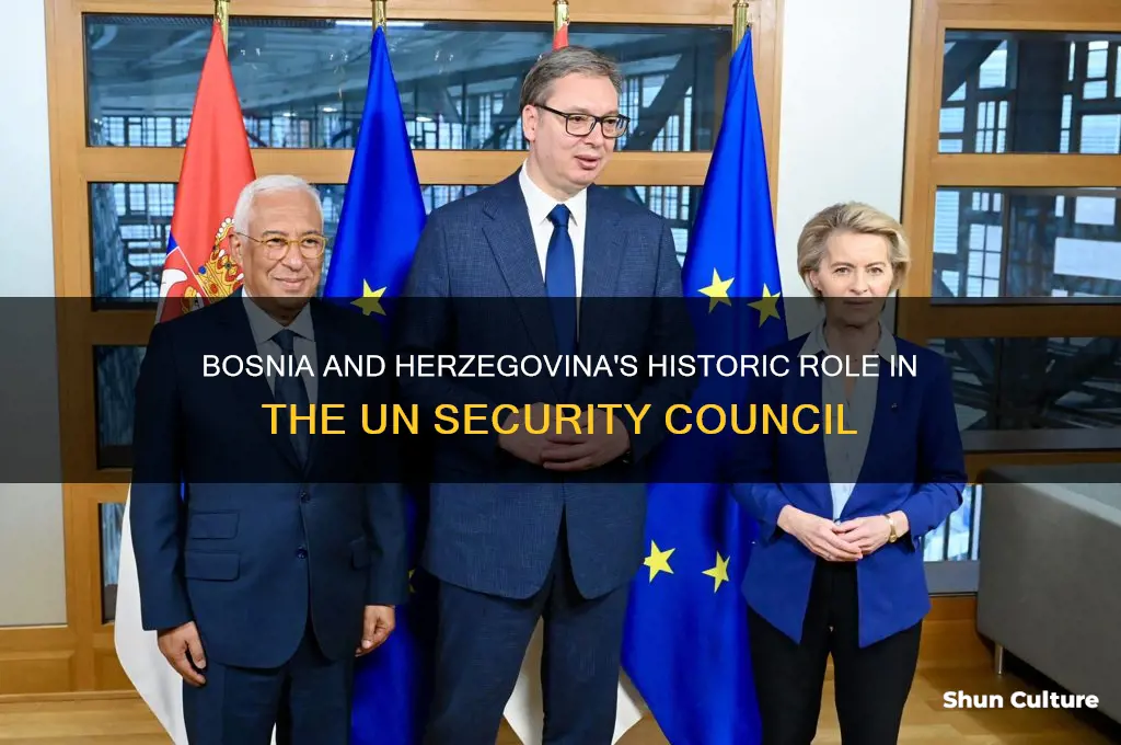 when bosnia and herzegovina served in the security council