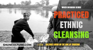 The Dark History of Bosnian Serb Ethnic Cleansing: A Devastating Legacy