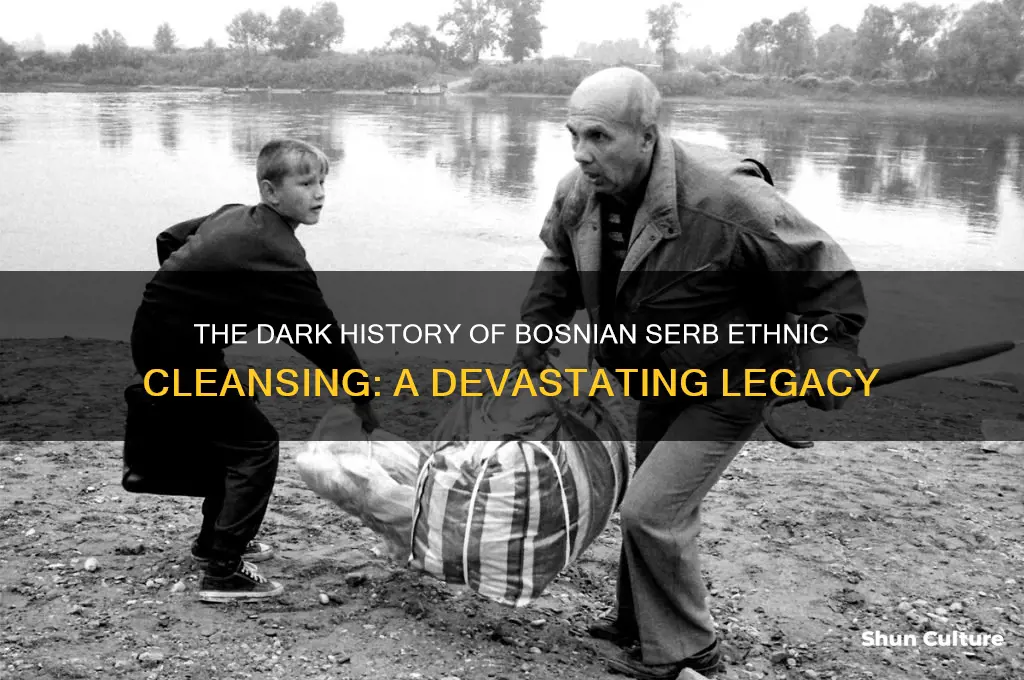 when bosnian serbs practiced ethnic cleansing