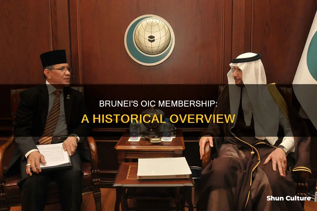 when brunei join oic