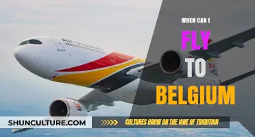 Unlocking the Skies: Your Guide to Flying to Belgium