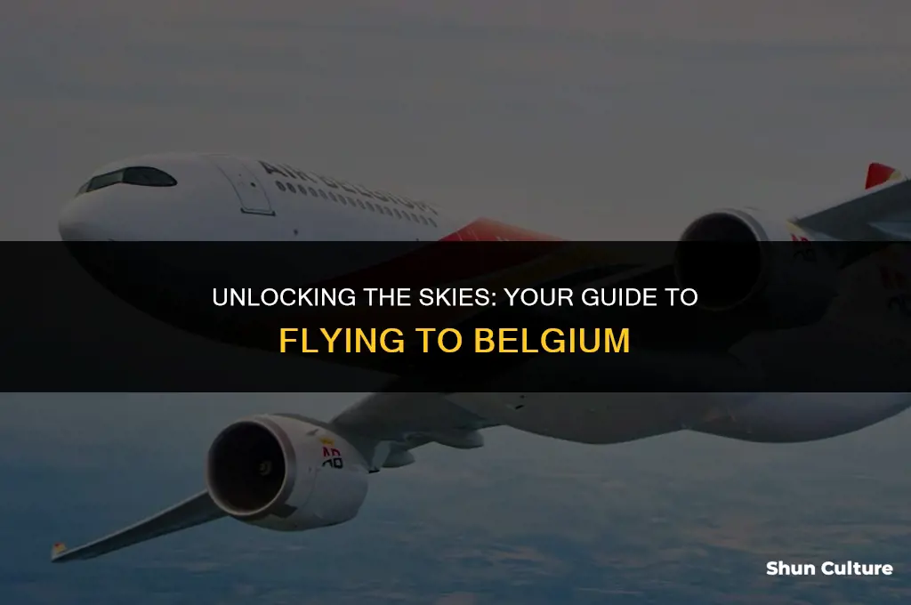 when can I fly to belgium