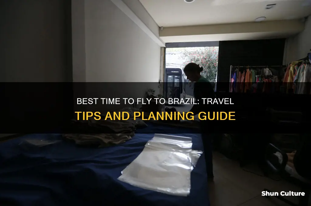 when can I fly to brazil
