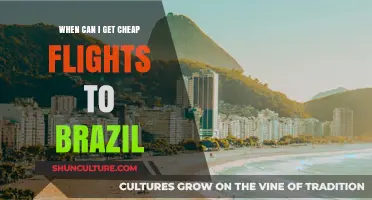 Best Times to Score Affordable Flights to Brazil: A Travel Guide