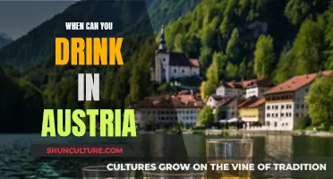 Drinking in Austria: Age, Laws, and Culture