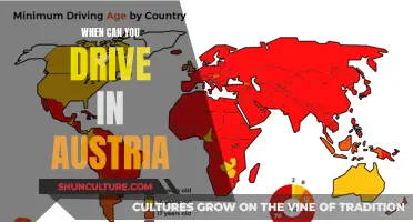 Exploring Austria by Car: License and Age Requirements