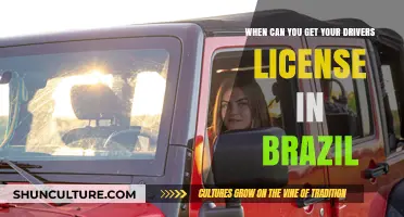 Brazil Driver's License: Age Requirements and Application Process Explained