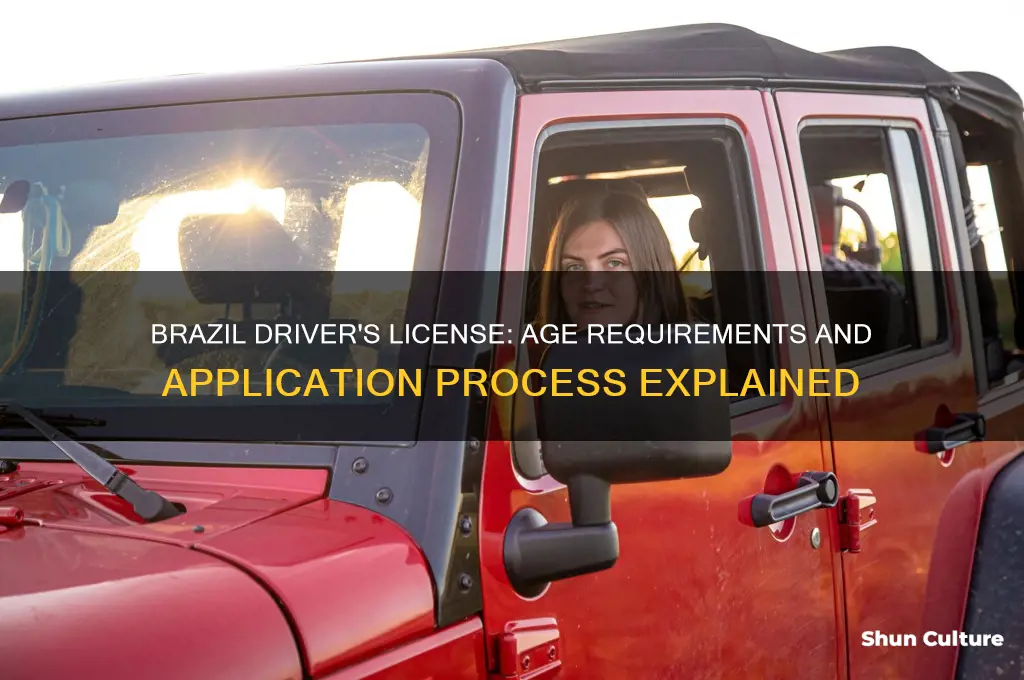 when can you get your drivers license in brazil