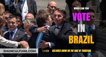 Voting Age in Brazil: When Can Citizens Cast Their Ballots?