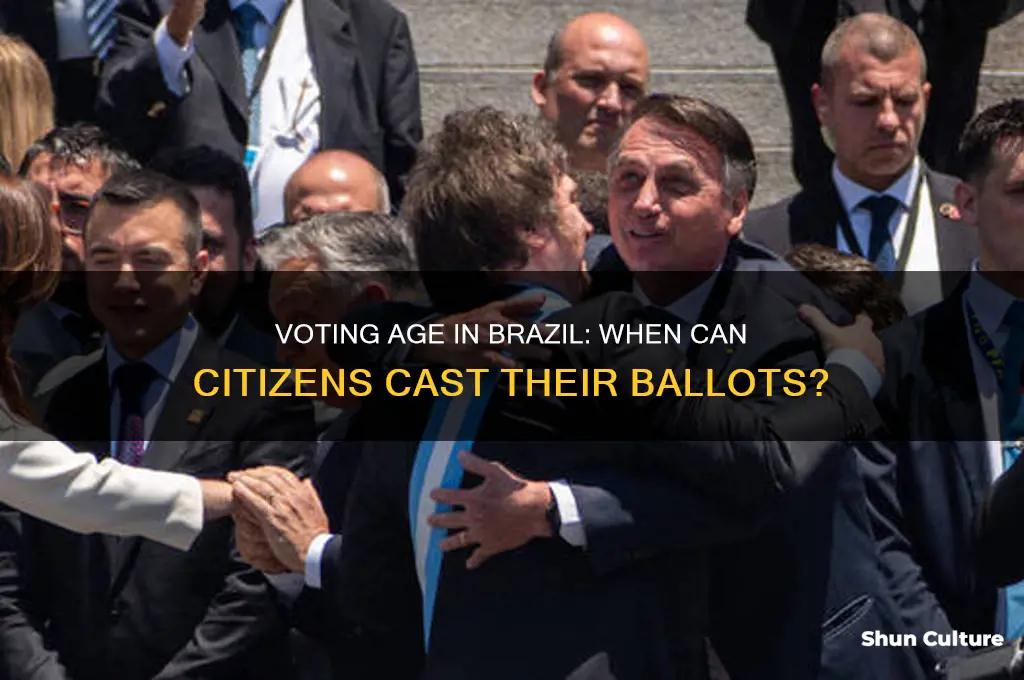 when can you vote in brazil