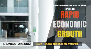 Emerging Giants: India, Brazil, and the Impact of Rapid Economic Growth